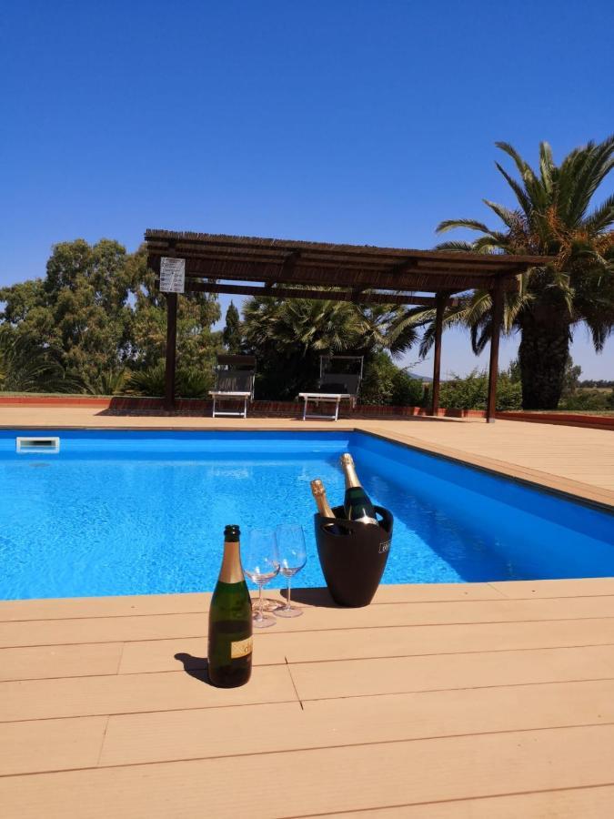 Tenute Delogu Wine - Alghero (adults Only) *